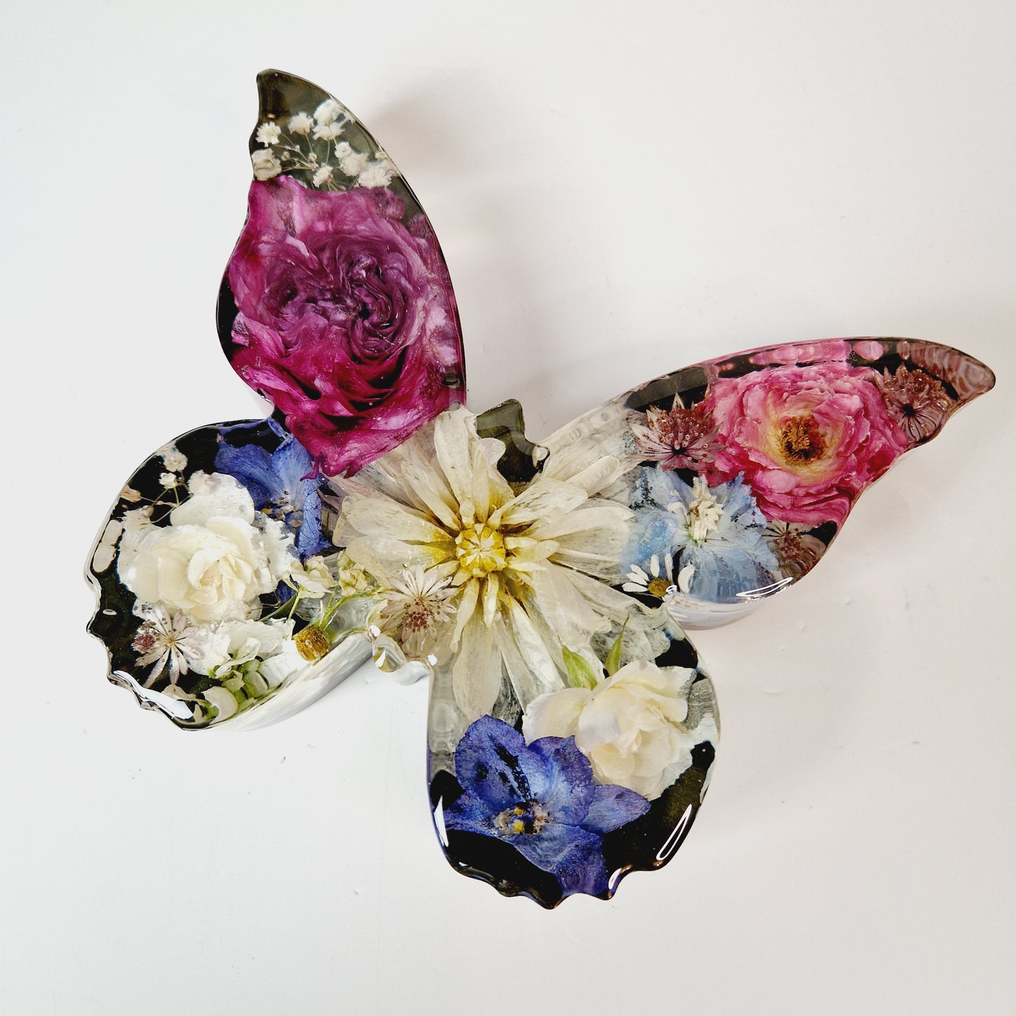 Large butterfly