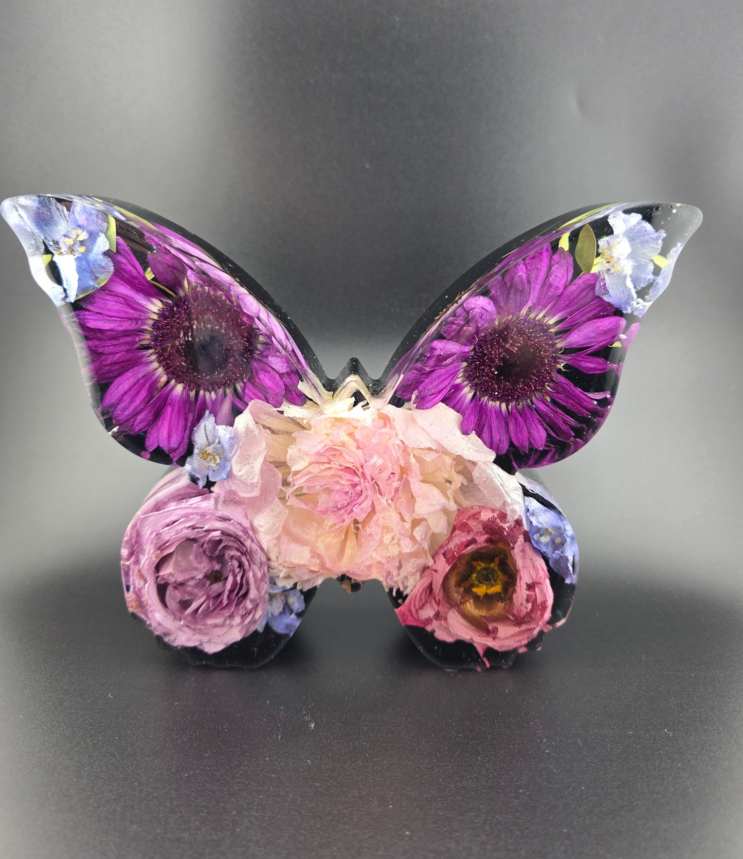 Large butterfly